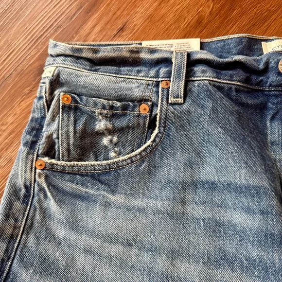 CITIZENS OF HUMANITY Gaucho Vintage Wide Leg In Oasis - Picture 6 of 14